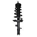 Complete Strut Assembly: Includes Strut, Coil Spring and Mount