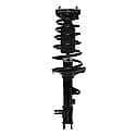 Complete Strut Assembly: Includes Strut, Coil Spring and Mount