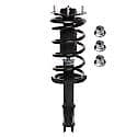 Complete Strut Assembly: Includes Strut, Coil Spring and Mount