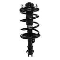 Complete Strut Assembly: Includes Strut, Coil Spring and Mount