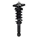 Complete Strut Assembly: Includes Strut, Coil Spring and Mount