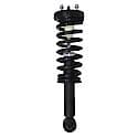 Complete Strut Assembly: Includes Strut, Coil Spring and Mount