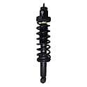 Complete Strut Assembly: Includes Strut, Coil Spring and Mount