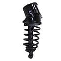 Complete Strut Assembly: Includes Strut, Coil Spring and Mount