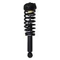 Complete Strut Assembly: Includes Strut, Coil Spring and Mount