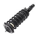 Complete Strut Assembly: Includes Strut, Coil Spring and Mount