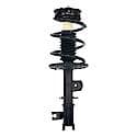 Complete Strut Assembly: Includes Strut, Coil Spring and Mount