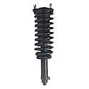 Complete Strut Assembly: Includes Strut, Coil Spring and Mount