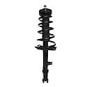 Complete Strut Assembly: Includes Strut, Coil Spring and Mount