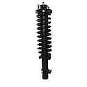 Complete Strut Assembly: Includes Strut, Coil Spring and Mount