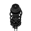 Complete Strut Assembly: Includes Strut, Coil Spring and Mount