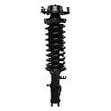 Complete Strut Assembly: Includes Strut, Coil Spring and Mount