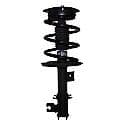 Complete Strut Assembly: Includes Strut, Coil Spring and Mount