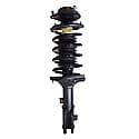 Complete Strut Assembly: Includes Strut, Coil Spring and Mount