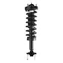 Complete Strut Assembly: Includes Strut, Coil Spring and Mount