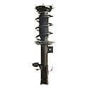 Complete Strut Assembly: Includes Strut, Coil Spring and Mount