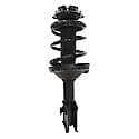 Complete Strut Assembly: Includes Strut, Coil Spring and Mount