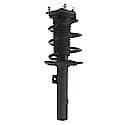 Complete Strut Assembly: Includes Strut, Coil Spring and Mount