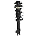 Complete Strut Assembly: Includes Strut, Coil Spring and Mount