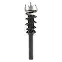 Complete Strut Assembly: Includes Strut, Coil Spring and Mount