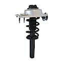 Complete Strut Assembly: Includes Strut, Coil Spring and Mount