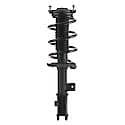 Complete Strut Assembly: Includes Strut, Coil Spring and Mount