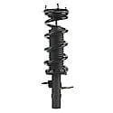 Complete Strut Assembly: Includes Strut, Coil Spring and Mount