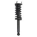 Complete Strut Assembly: Includes Strut, Coil Spring and Mount