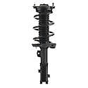 Complete Strut Assembly: Includes Strut, Coil Spring and Mount