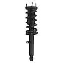 Complete Strut Assembly: Includes Strut, Coil Spring and Mount