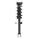 Complete Strut Assembly: Includes Strut, Coil Spring and Mount