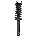 Complete Strut Assembly: Includes Strut, Coil Spring and Mount