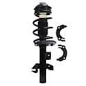 Complete Strut Assembly: Includes Strut, Coil Spring and Mount