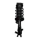 Complete Strut Assembly: Includes Strut, Coil Spring and Mount