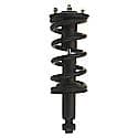 Complete Strut Assembly: Includes Strut, Coil Spring and Mount