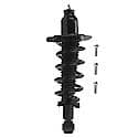 Complete Strut Assembly: Includes Strut, Coil Spring and Mount