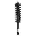 Complete Strut Assembly: Includes Strut, Coil Spring and Mount