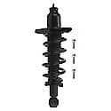 Complete Strut Assembly: Includes Strut, Coil Spring and Mount