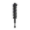 Complete Strut Assembly: Includes Strut, Coil Spring and Mount