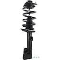 Complete Strut Assembly: Includes Strut, Coil Spring, and Mount