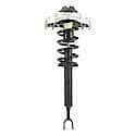 Complete Strut Assembly: Includes Strut, Coil Spring and Mount