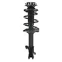 Complete Strut Assembly: Includes Strut, Coil Spring and Mount