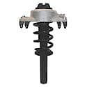 Complete Strut Assembly: Includes Strut, Coil Spring and Mount