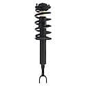 Complete Strut Assembly: Includes Strut, Coil Spring and Mount