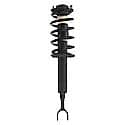 Complete Strut Assembly: Includes Strut, Coil Spring and Mount