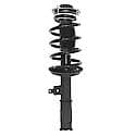 Complete Strut Assembly: Includes Strut, Coil Spring and Mount