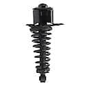 Complete Strut Assembly: Includes Strut, Coil Spring and Mount