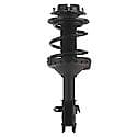 Complete Strut Assembly: Includes Strut, Coil Spring and Mount