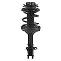 Complete Strut Assembly: Includes Strut, Coil Spring and Mount