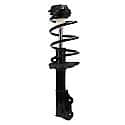 Quick-Strut Suspension Strut and Coil Spring Assembly